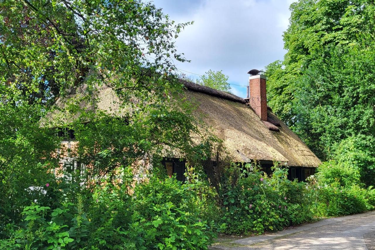 Haus Swanhild Villa Fockbek Eksteriør billede